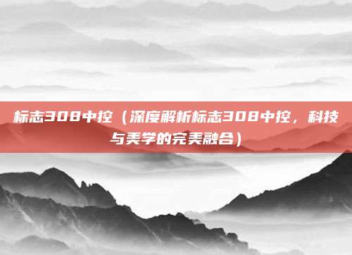 标志308中控（深度解析标志308中控，科技与美学的完美融合）