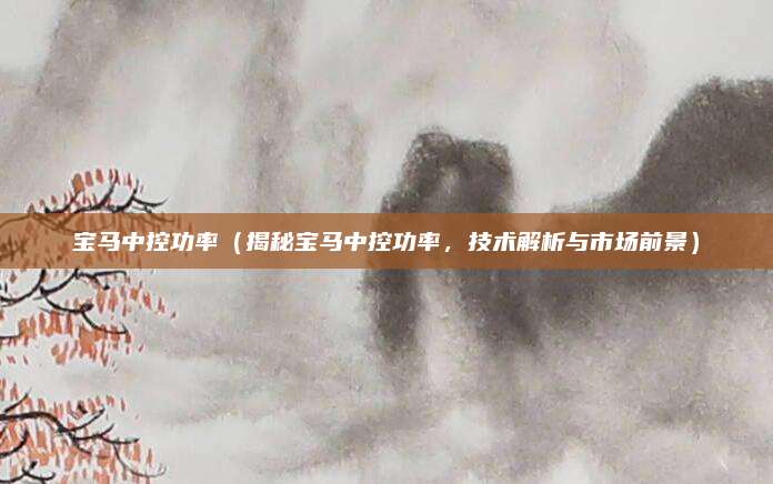 宝马中控功率（揭秘宝马中控功率，技术解析与市场前景）