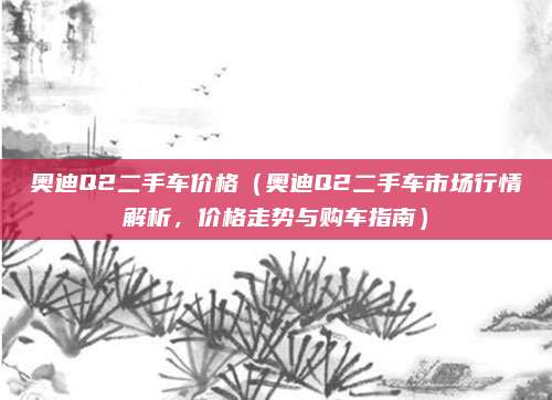奥迪Q2二手车价格（奥迪Q2二手车市场行情解析，价格走势与购车指南）
