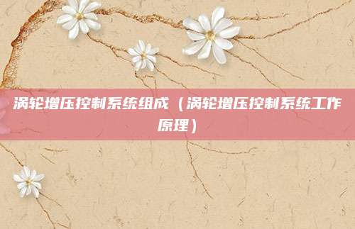涡轮增压控制系统组成(涡轮增压控制系统工作原理)
