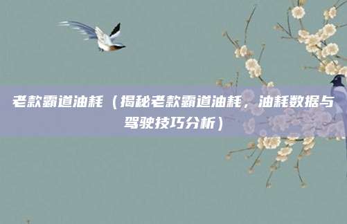 老款霸道油耗(揭秘老款霸道油耗,油耗数据与驾驶技巧分析)