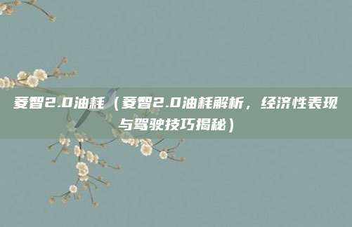 菱智2.0油耗(菱智2.0油耗解析,经济性表现与驾驶技巧揭秘)