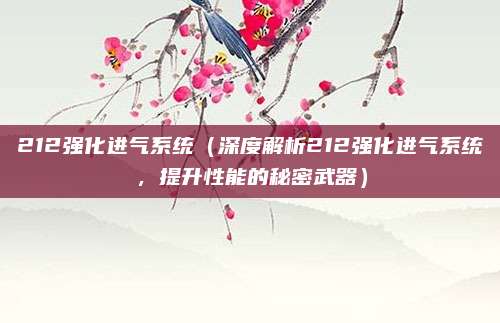 212强化进气系统(深度解析212强化进气系统,提升性能的秘密武器)