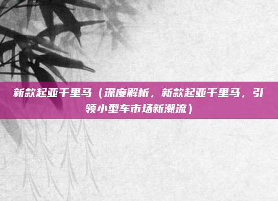 新款起亚千里马(深度解析,新款起亚千里马,引领小型车市场新潮流)