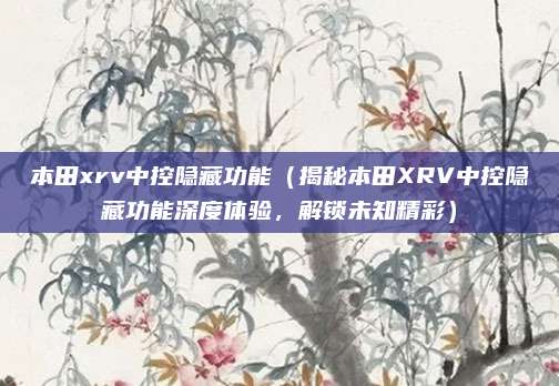 本田xrv中控隐藏功能(揭秘本田XRV中控隐藏功能深度体验,解锁未知精彩)