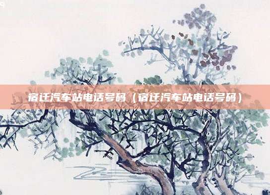 宿迁汽车站电话号码(宿迁汽车站电话号码)