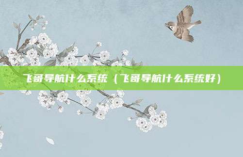 飞哥导航什么系统(飞哥导航什么系统好)