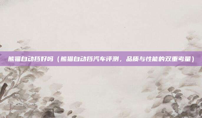 熊猫自动挡好吗(熊猫自动挡汽车评测,品质与性能的双重考量)