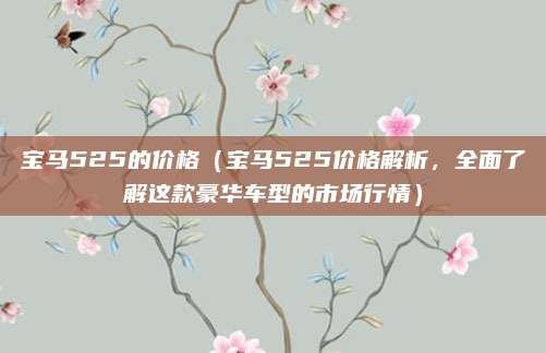 宝马525的价格（宝马525价格解析，全面了解这款豪华车型的市场行情）
