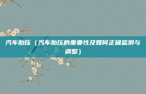 汽车胎压(汽车胎压的重要性及如何正确监测与调整)