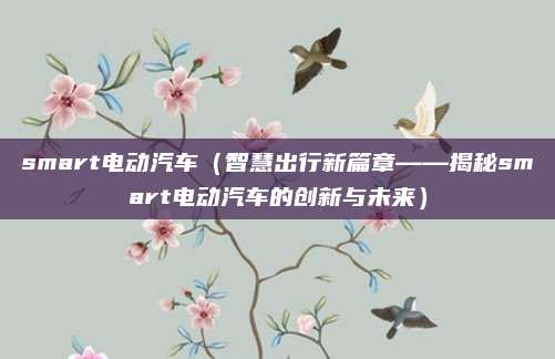 smart电动汽车（智慧出行新篇章——揭秘smart电动汽车的创新与未来）