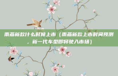 雨燕新款什么时候上市（雨燕新款上市时间预测，新一代车型即将驶入市场）