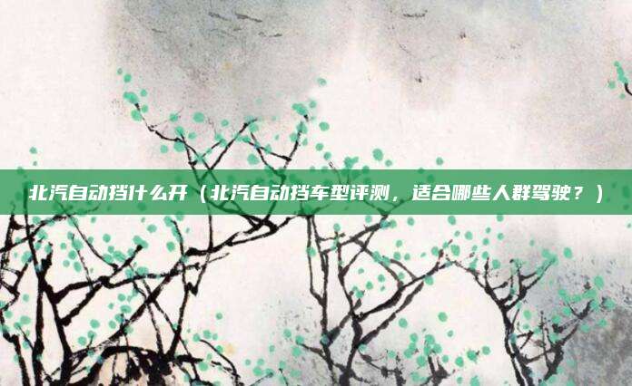北汽自动挡什么开(北汽自动挡车型评测,适合哪些人群驾驶?)