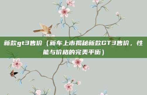 新款gt3售价(新车上市揭秘新款GT3售价,性能与价格的完美平衡)