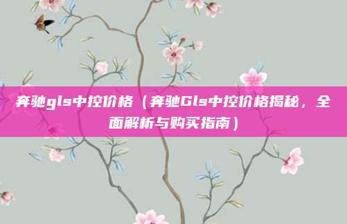 奔驰gls中控价格(奔驰Gls中控价格揭秘,全面解析与购买指南)