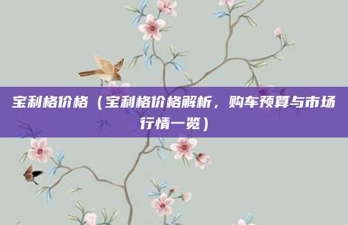 宝利格价格(宝利格价格解析,购车预算与市场行情一览)
