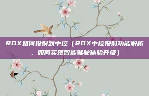 RDX如何投射到中控（RDX中控投射功能解析，如何实现智能驾驶体验升级）