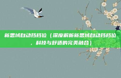 新思域自动挡档位(深度解析新思域自动挡档位,科技与舒适的完美融合)