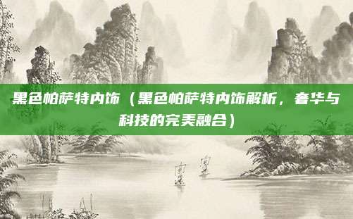 黑色帕萨特内饰（黑色帕萨特内饰解析，奢华与科技的完美融合）