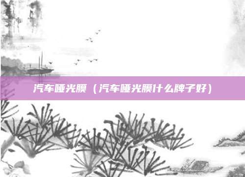 汽车哑光膜（汽车哑光膜什么牌子好）