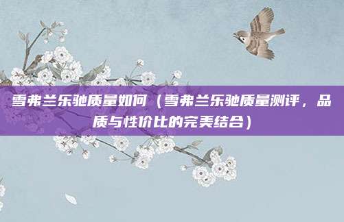 雪弗兰乐驰质量如何(雪弗兰乐驰质量测评,品质与性价比的完美结合)