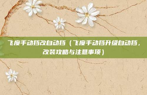 飞度手动挡改自动挡（飞度手动挡升级自动挡，改装攻略与注意事项）