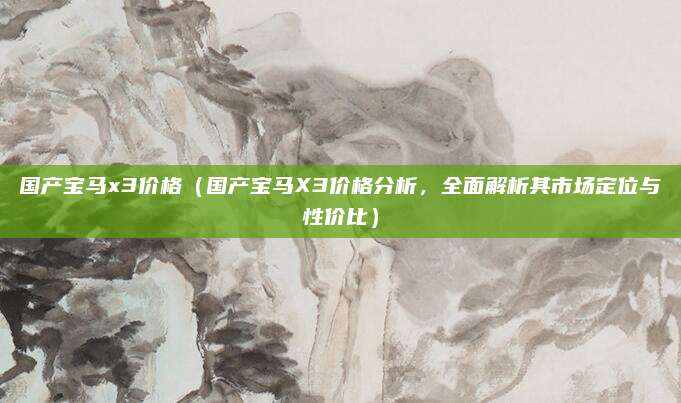 国产宝马x3价格(国产宝马X3价格分析,全面解析其市场定位与性价比)