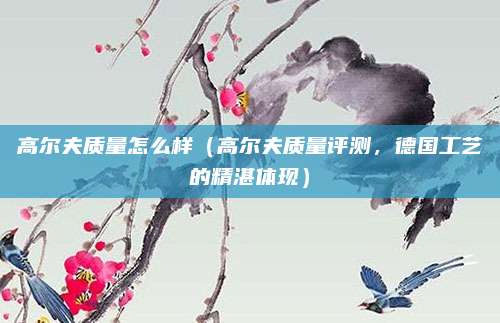 高尔夫质量怎么样(高尔夫质量评测,德国工艺的精湛体现)
