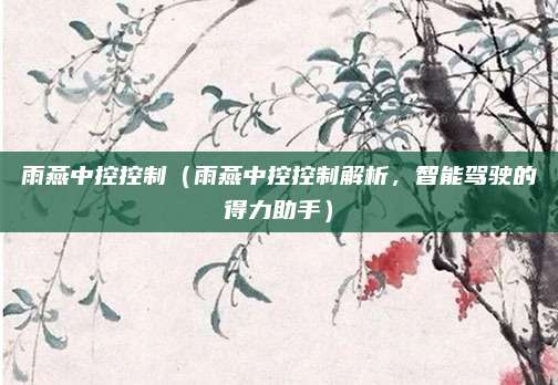 雨燕中控控制(雨燕中控控制解析,智能驾驶的得力助手)