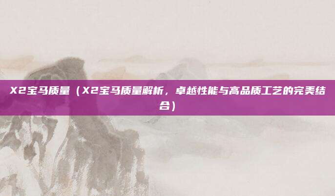 X2宝马质量(X2宝马质量解析,卓越性能与高品质工艺的完美结合)