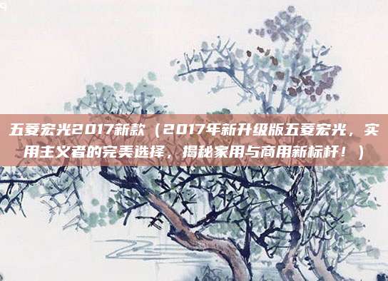 五菱宏光2017新款(2017年新升级版五菱宏光,实用主义者的完美选择,揭秘家用与商用新标杆!)