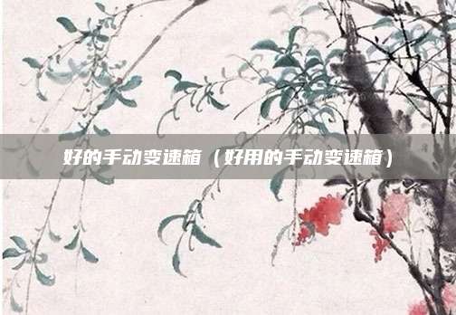 好的手动变速箱(好用的手动变速箱)