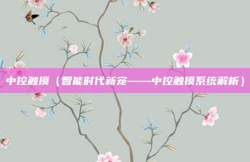 中控触摸(智能时代新宠——中控触摸系统解析)