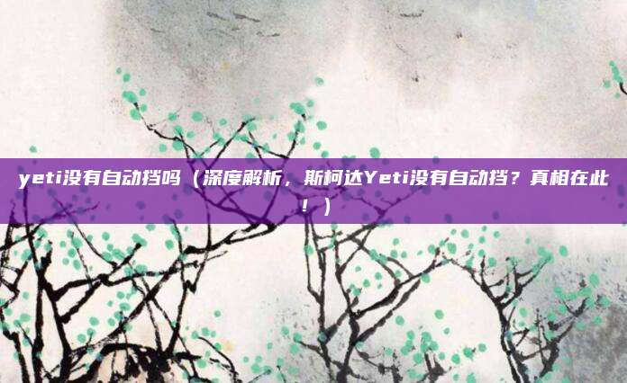 yeti没有自动挡吗(深度解析,斯柯达Yeti没有自动挡?真相在此!)