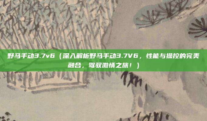野马手动3.7v6(深入解析野马手动3.7V6,性能与操控的完美融合,驾驭激情之旅!)