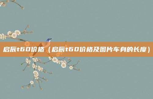 启辰t60价格(启辰t60价格及图片车身的长度)