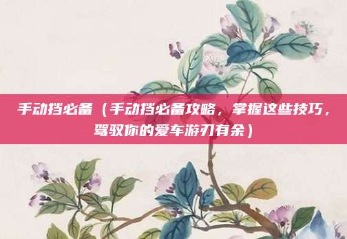 手动挡必备(手动挡必备攻略,掌握这些技巧,驾驭你的爱车游刃有余)