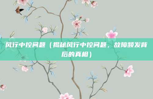 风行中控问题（揭秘风行中控问题，故障频发背后的真相）