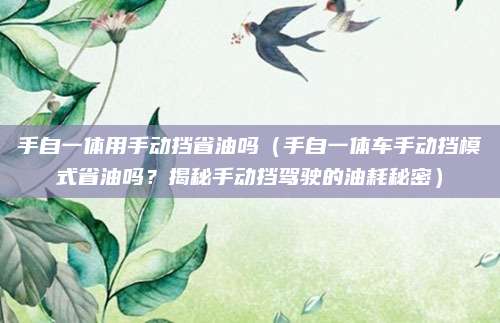 手自一体用手动挡省油吗（手自一体车手动挡模式省油吗？揭秘手动挡驾驶的油耗秘密）