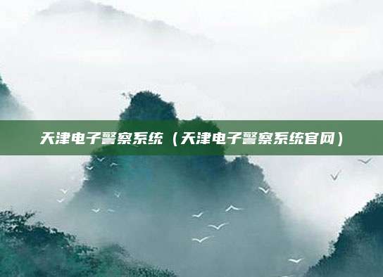 天津电子警察系统(天津电子警察系统官网)