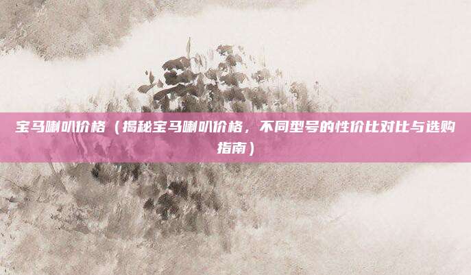 宝马喇叭价格(揭秘宝马喇叭价格,不同型号的性价比对比与选购指南)