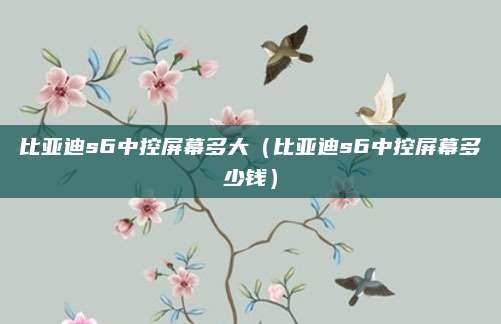 比亚迪s6中控屏幕多大(比亚迪s6中控屏幕多少钱)