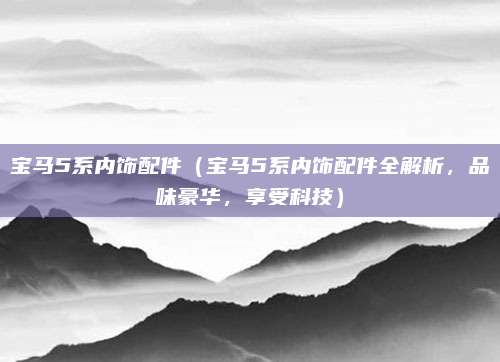 宝马5系内饰配件（宝马5系内饰配件全解析，品味豪华，享受科技）