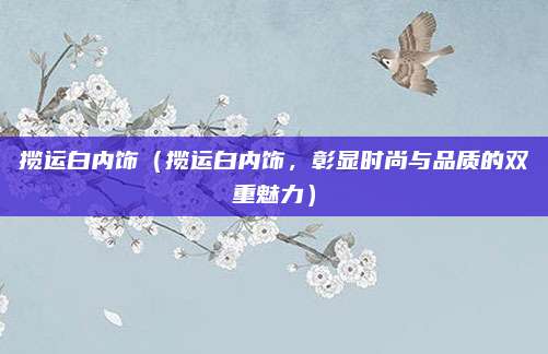 揽运白内饰（揽运白内饰，彰显时尚与品质的双重魅力）
