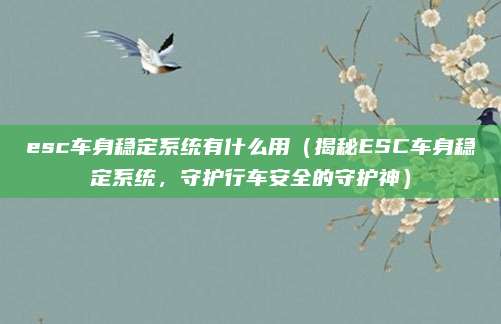 esc车身稳定系统有什么用(揭秘ESC车身稳定系统,守护行车安全的守护神)