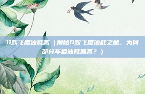11款飞度油耗高（揭秘11款飞度油耗之迷，为何部分车型油耗偏高？）