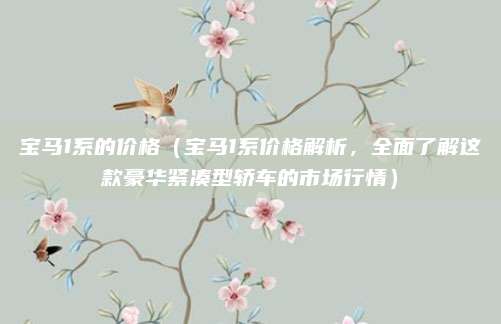 宝马1系的价格(宝马1系价格解析,全面了解这款豪华紧凑型轿车的市场行情)