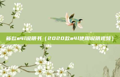 新款a4l说明书(2020款a4l使用说明视频)
