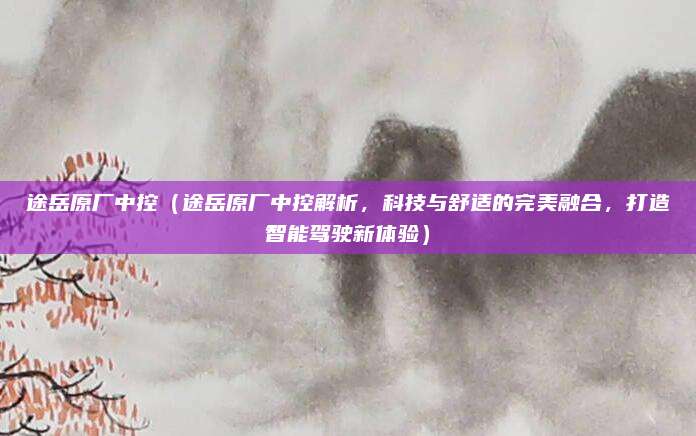 途岳原厂中控(途岳原厂中控解析,科技与舒适的完美融合,打造智能驾驶新体验)
