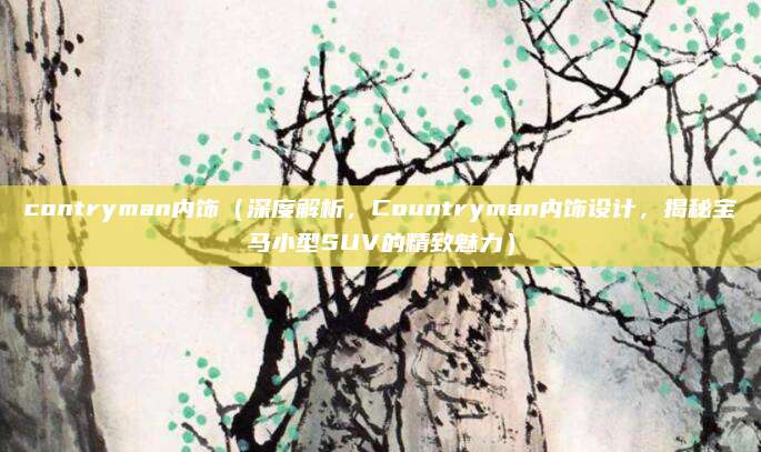 contryman内饰(深度解析,Countryman内饰设计,揭秘宝马小型SUV的精致魅力)